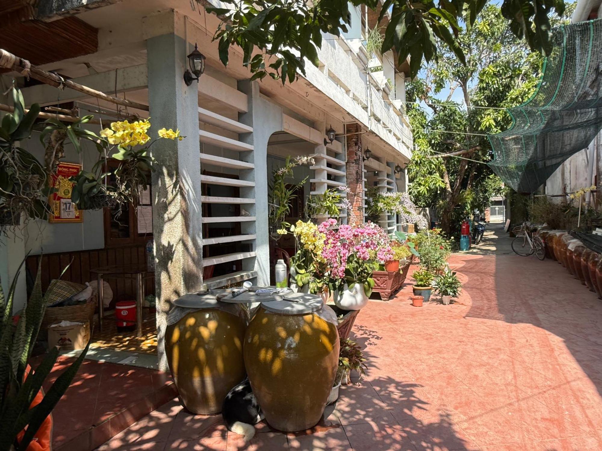 Island Homestay Tien Giang My Tho Bagian luar foto